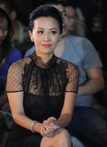 田娃爆料刘嘉玲视频,真相背后引人深思  第2张